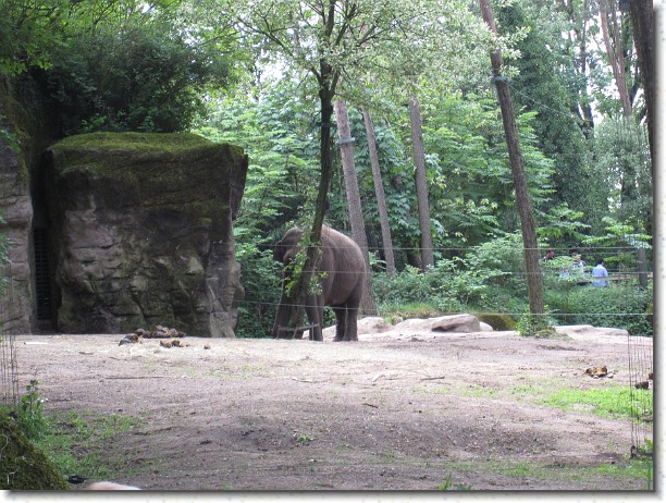 Klik hier voor de originele foto